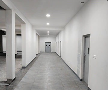 Ongoing Project